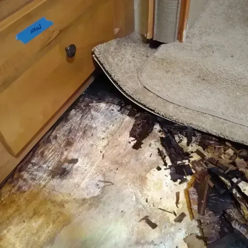 Best Wood Floor Water Damage Service in Gloucester County, NJ